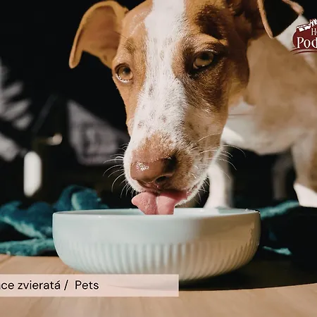 Podhradie Považská Bystrica